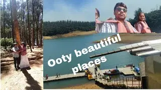 The Perfect Ooty Honeymoon: Best Tips and Recommendations| Best visiting places in ooty 💯🔥#ooty