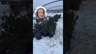 Вести с полей. Часть 1.