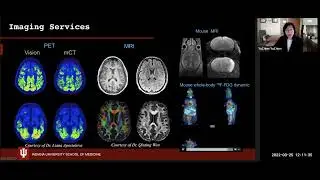 In-Vivo MRI and PET Imaging