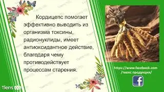 КОРДИЦЕПС Тяньши