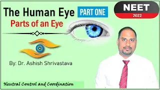 HUMAN EYE PART 1 | PARTS OF AN EYE | (Neural Control & Coordination) | NEET & Board Exams