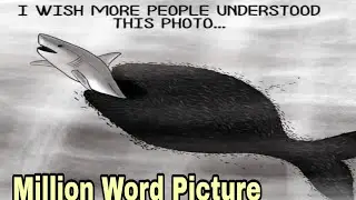 One Picture Millions Words | Top Motivational Pictures With Deep Meaning
