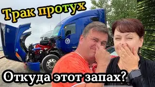 В траке Kenworth появился запах тухлятины🫣Дальнобой США🇺🇸 Канада🇨🇦