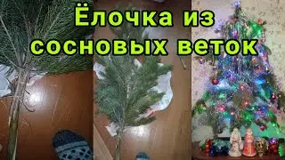 Как сделать ёлочку из сосновых веток🎄