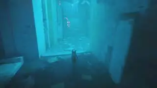 Stray Can't Cat-ch Me attempts