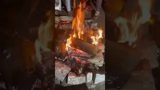Roasting Marshmallows and Hotdogs In The Cottage