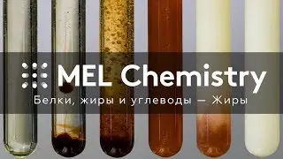 «Жиры» из набора «Белки, жиры и углеводы»