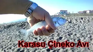 Karasu Çinekop Avı 04 10 2020