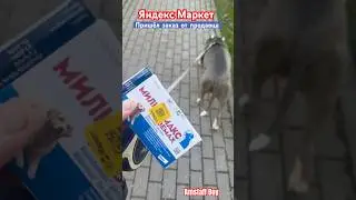 Амстафф Бой и Яндекс Маркет 