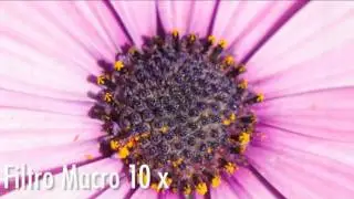 filtros macro