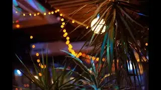 Summer Night Outs (15 Fragrances)