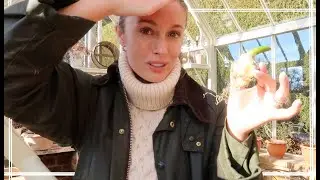 SUNDAY ROASTS & A WINTER GARDEN TOUR // Fashion Mumblr Vlogs