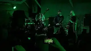 WLVS Человек человеку волк Live 06.01.2024