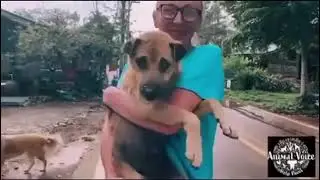 Boo