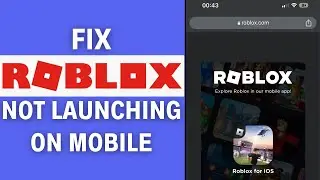 How To Fix Roblox Not Launching - Full Guide