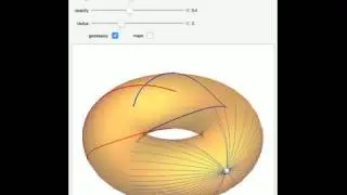 Geodesics and Conjugate Loci on a Torus