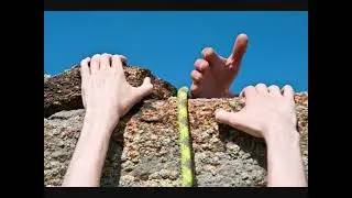 Нет, я не верю, все равно не верю!