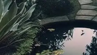 Зачем Хотят Закрыть Ютубушку В России Получится ?