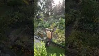 Ohio garden progression- March to July