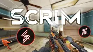 TEAM NEXUS vs STATUS QUO in CODM... (PRO Scrims)