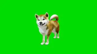 3d dog sitting walking green screen effect for chromakey