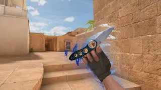 Conga conga🕺