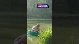 Тот момент, когда случилось ужасная скуфастрофа