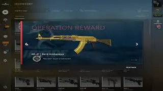 AK-47 | Gold Arabesque - DROP | Operation Riptide