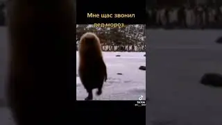 дед мороз звонил 🤣🤣