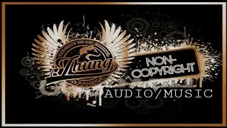 NON-COPYRIGHT AUDIO/MUSIC