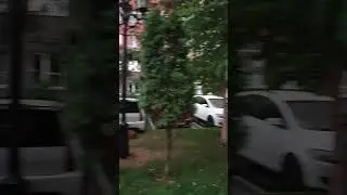 Погода в Краснодаре  #КРАСНОДАР #губернский