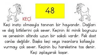 1. Sınıf Zaman Ayarlı Okuma Çalışması - Keçi - 1 Dakika 44 Sözcük