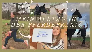 Pferdepraxis, Laufen und BIG NEWS // Tiermedizin-Vlog (Praktisches Jahr)