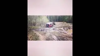 Шнива в деле!