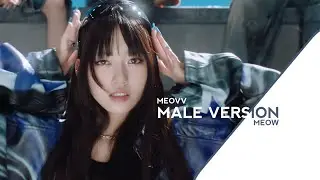 MEOW | MEOVV (MALE VERSION)