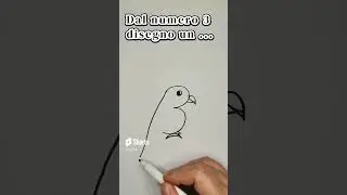 Dal 3 disegno un pappagallo