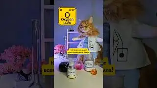 Миру нужен кислород 