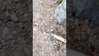 Магадан
