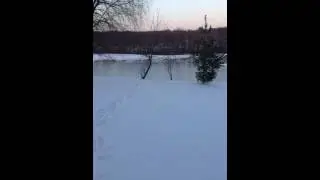 call ducks in winter