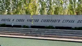 SEO специалист юзабилити top 1