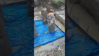 Pile base PCC work in construction project #shorts #piles #base #pcc