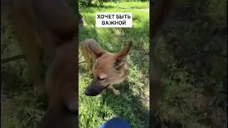 Ляся тоже хочет домой 