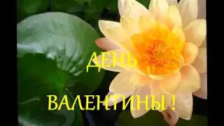 ДЕНЬ ВАЛЕНТИНЫ.