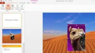 How to remove the background from an image in PowerPoint 2013