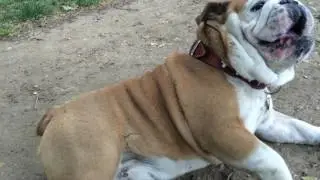 Rudy meets Brando