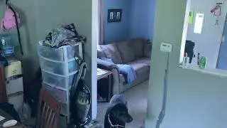 Mine