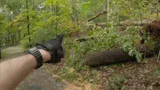 Hurricane Helene Damage #4