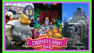 Top 6 BEST Disneyland Park Rides! |Stix Top 6|
