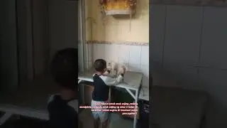 Virus Marco Sedang menyerang anak anjing 😭 #adadishorts #Puppy#sialvinperiksakansidogy#blogs