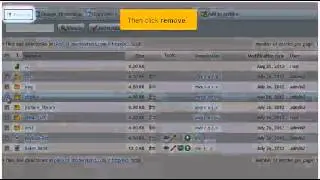 How to use the file manager in Plesk 11